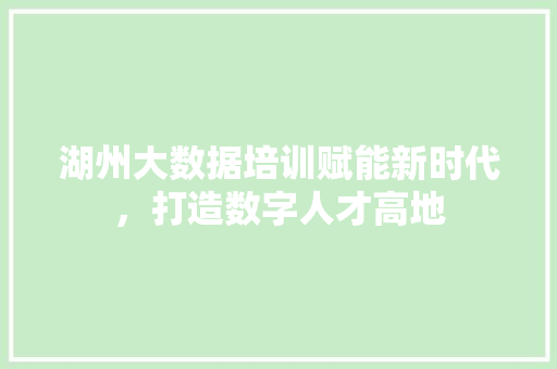湖州大数据培训赋能新时代，打造数字人才高地