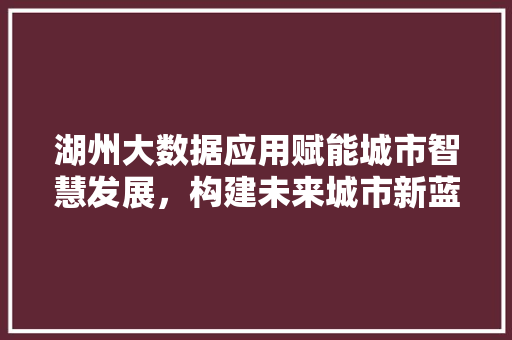 湖州大数据应用赋能城市智慧发展，构建未来城市新蓝图