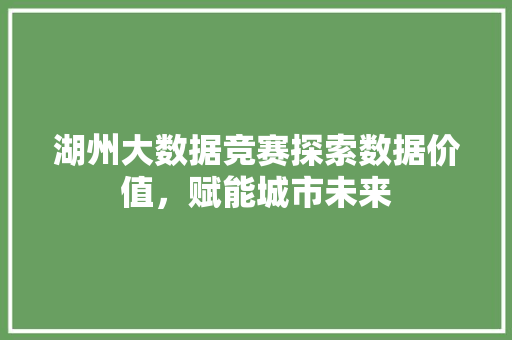 湖州大数据竞赛探索数据价值，赋能城市未来