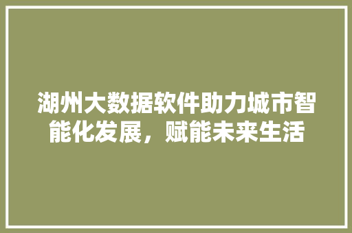 湖州大数据软件助力城市智能化发展，赋能未来生活