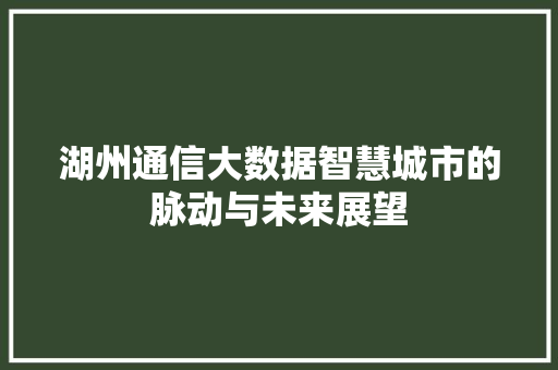 湖州通信大数据智慧城市的脉动与未来展望