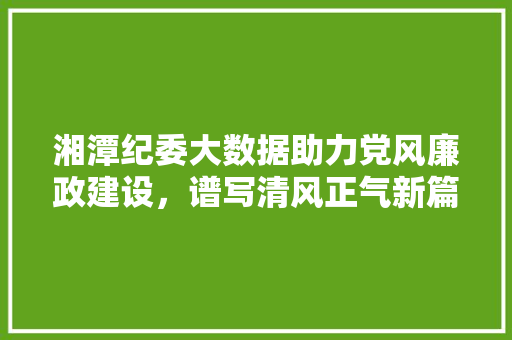 湘潭纪委大数据助力党风廉政建设，谱写清风正气新篇章