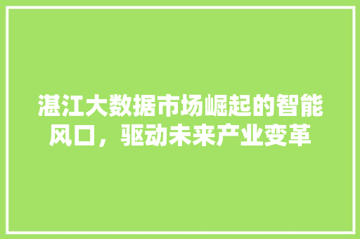 湛江大数据市场崛起的智能风口，驱动未来产业变革