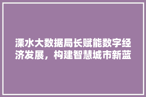 溧水大数据局长赋能数字经济发展，构建智慧城市新蓝图