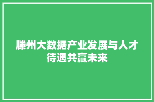 滕州大数据产业发展与人才待遇共赢未来