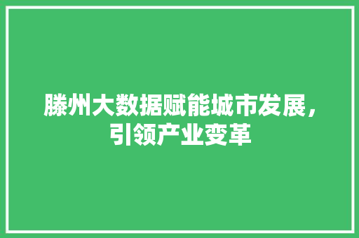 滕州大数据赋能城市发展，引领产业变革