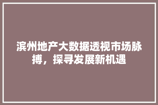 滨州地产大数据透视市场脉搏，探寻发展新机遇