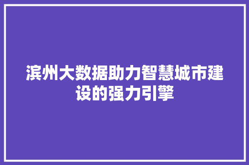 滨州大数据助力智慧城市建设的强力引擎