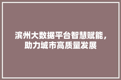 滨州大数据平台智慧赋能，助力城市高质量发展
