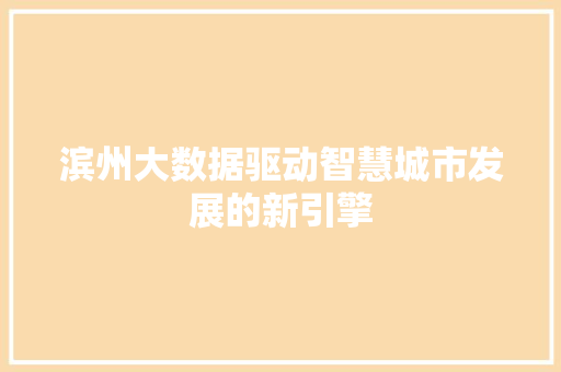 滨州大数据驱动智慧城市发展的新引擎