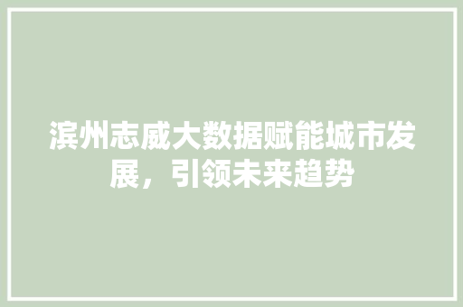 滨州志威大数据赋能城市发展，引领未来趋势