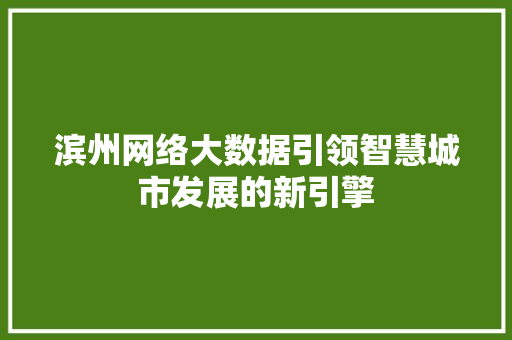 滨州网络大数据引领智慧城市发展的新引擎