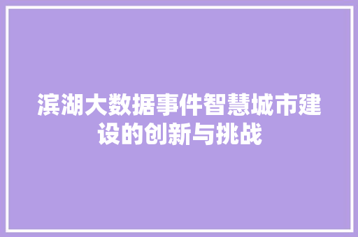 滨湖大数据事件智慧城市建设的创新与挑战