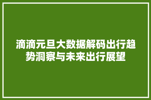 滴滴元旦大数据解码出行趋势洞察与未来出行展望