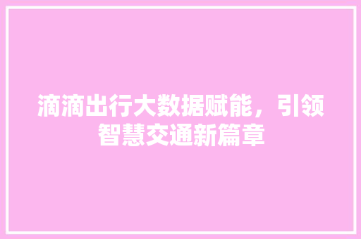 滴滴出行大数据赋能，引领智慧交通新篇章
