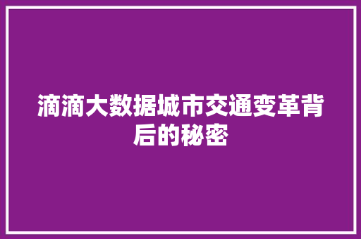 滴滴大数据城市交通变革背后的秘密