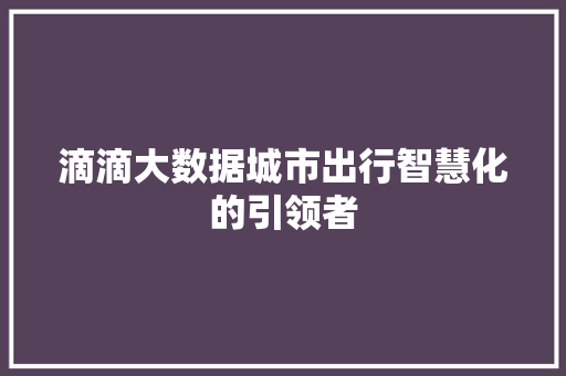 滴滴大数据城市出行智慧化的引领者