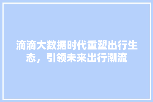 滴滴大数据时代重塑出行生态，引领未来出行潮流