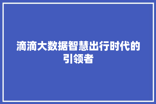 滴滴大数据智慧出行时代的引领者