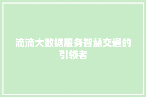 滴滴大数据服务智慧交通的引领者