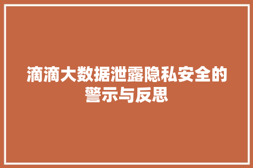 滴滴大数据泄露隐私安全的警示与反思