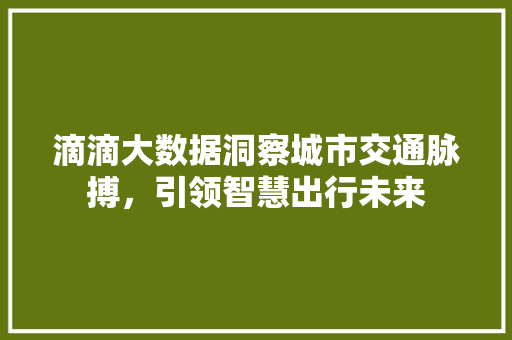 滴滴大数据洞察城市交通脉搏，引领智慧出行未来