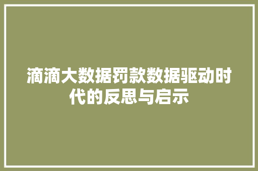 滴滴大数据罚款数据驱动时代的反思与启示