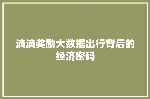 滴滴奖励大数据出行背后的经济密码