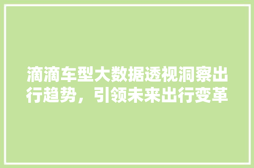 滴滴车型大数据透视洞察出行趋势，引领未来出行变革