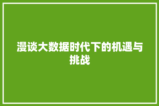 漫谈大数据时代下的机遇与挑战