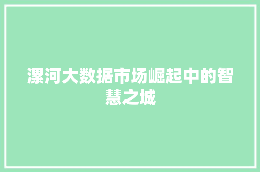 漯河大数据市场崛起中的智慧之城