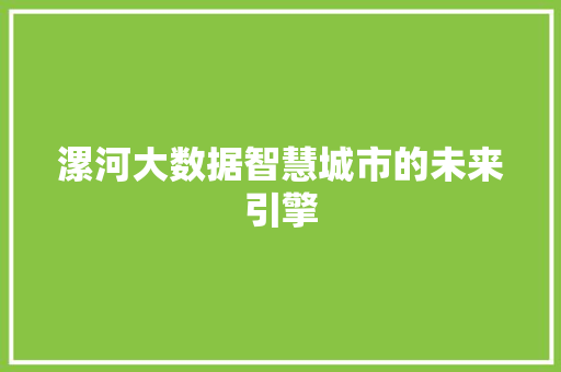 漯河大数据智慧城市的未来引擎