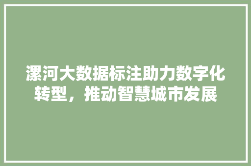 漯河大数据标注助力数字化转型，推动智慧城市发展