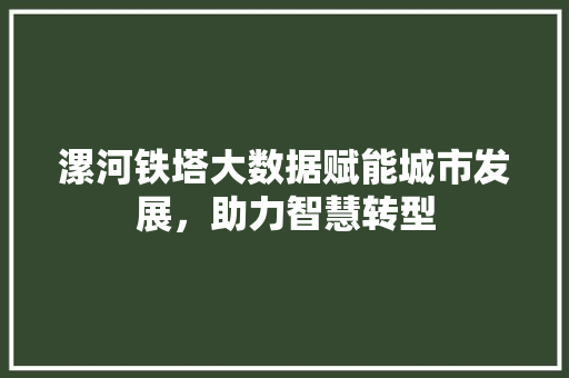 漯河铁塔大数据赋能城市发展，助力智慧转型