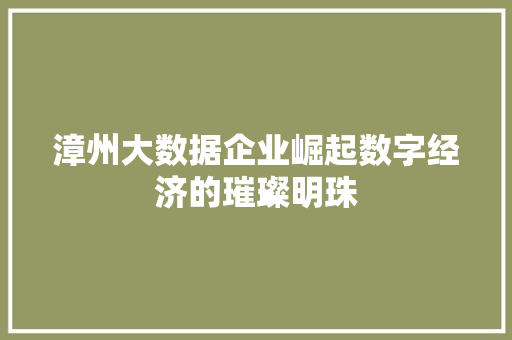 漳州大数据企业崛起数字经济的璀璨明珠