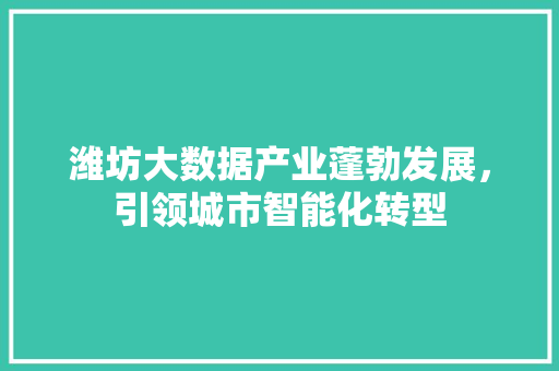 潍坊大数据产业蓬勃发展，引领城市智能化转型