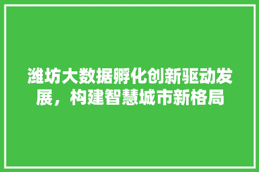 潍坊大数据孵化创新驱动发展，构建智慧城市新格局