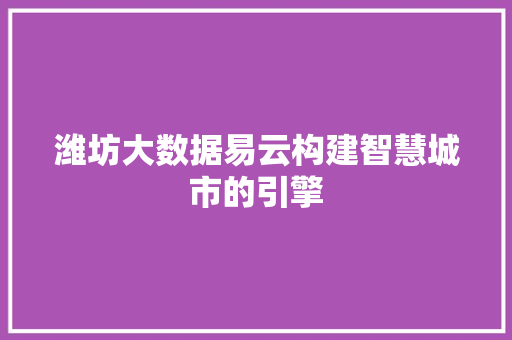潍坊大数据易云构建智慧城市的引擎