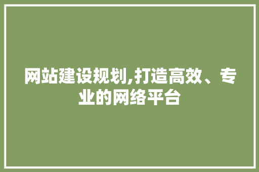网站建设规划,打造高效、专业的网络平台