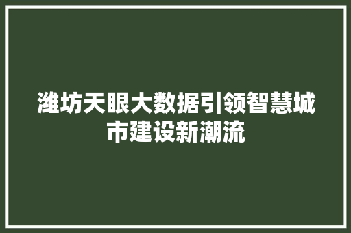 潍坊天眼大数据引领智慧城市建设新潮流