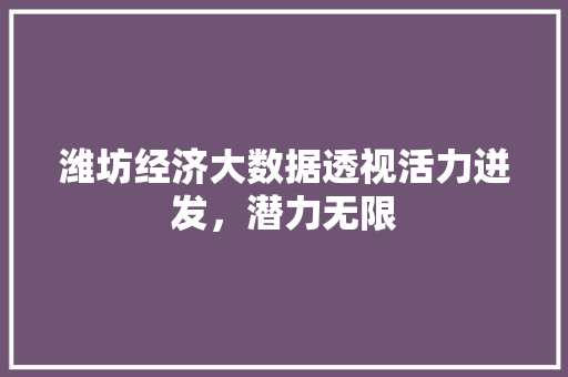 潍坊经济大数据透视活力迸发，潜力无限