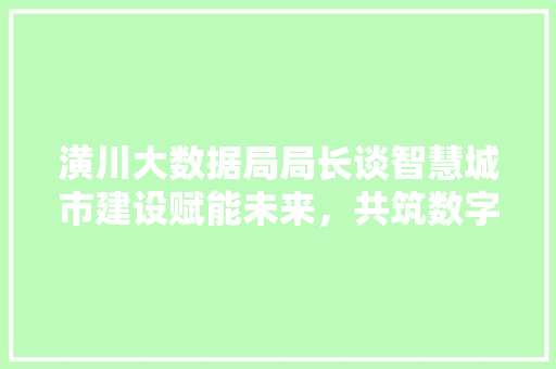 潢川大数据局局长谈智慧城市建设赋能未来，共筑数字辉煌