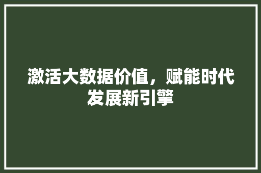 激活大数据价值，赋能时代发展新引擎