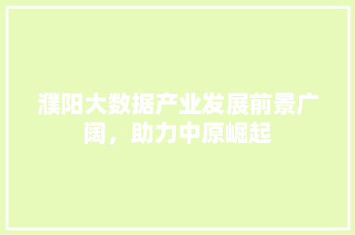 濮阳大数据产业发展前景广阔，助力中原崛起