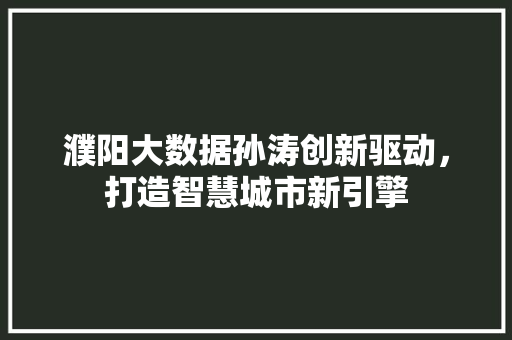 濮阳大数据孙涛创新驱动，打造智慧城市新引擎