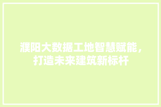 濮阳大数据工地智慧赋能，打造未来建筑新标杆