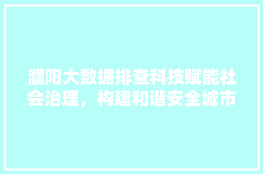 濮阳大数据排查科技赋能社会治理，构建和谐安全城市