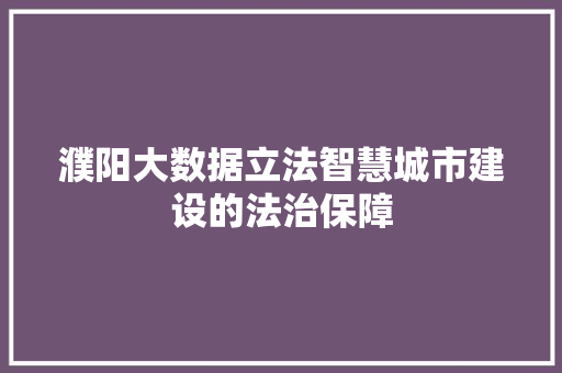 濮阳大数据立法智慧城市建设的法治保障