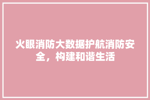 火眼消防大数据护航消防安全，构建和谐生活
