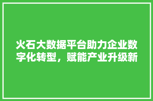 火石大数据平台助力企业数字化转型，赋能产业升级新引擎